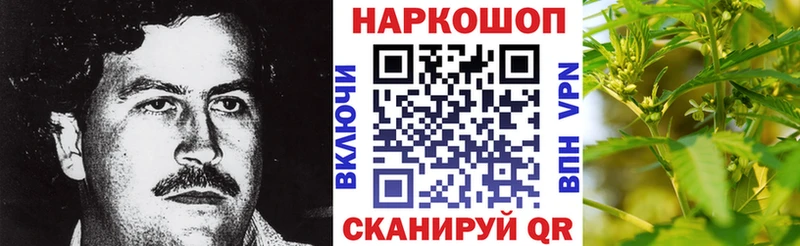Какие есть наркотики Бор Галлюциногенные грибы  Мефедрон  ГАШИШ  Каннабис 