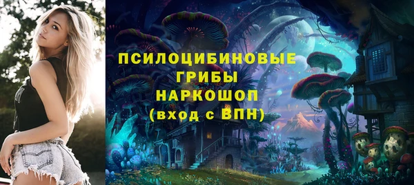 apvp Балахна