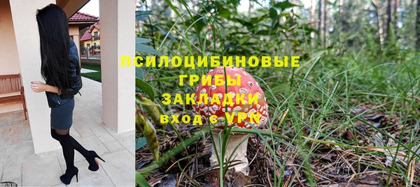 apvp Балахна
