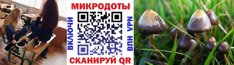 Псилоцибиновые грибы мухоморы  Бор 