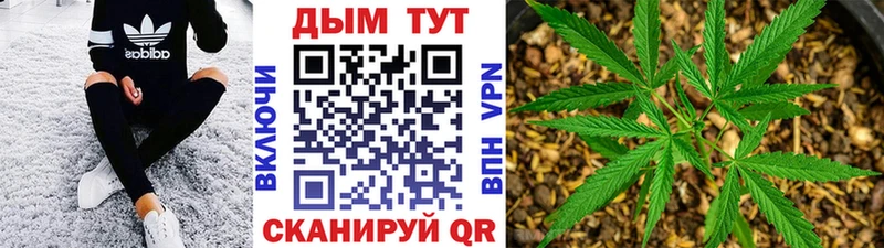 МАРИХУАНА индика  закладки  Бор 